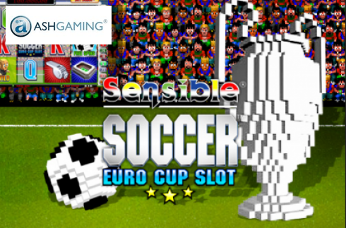 Sensible Soccer: Euro Cup